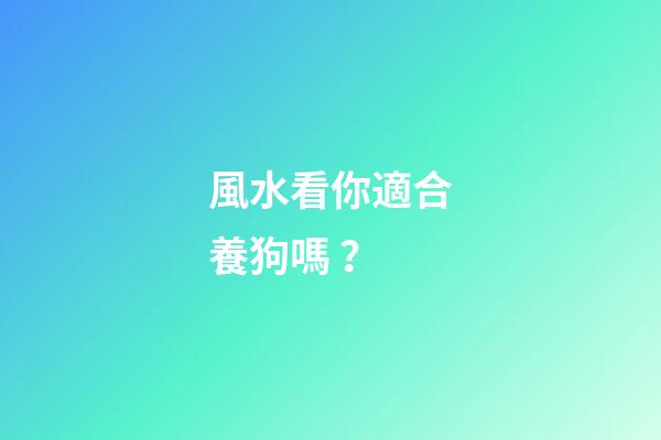 風水看你適合養狗嗎？